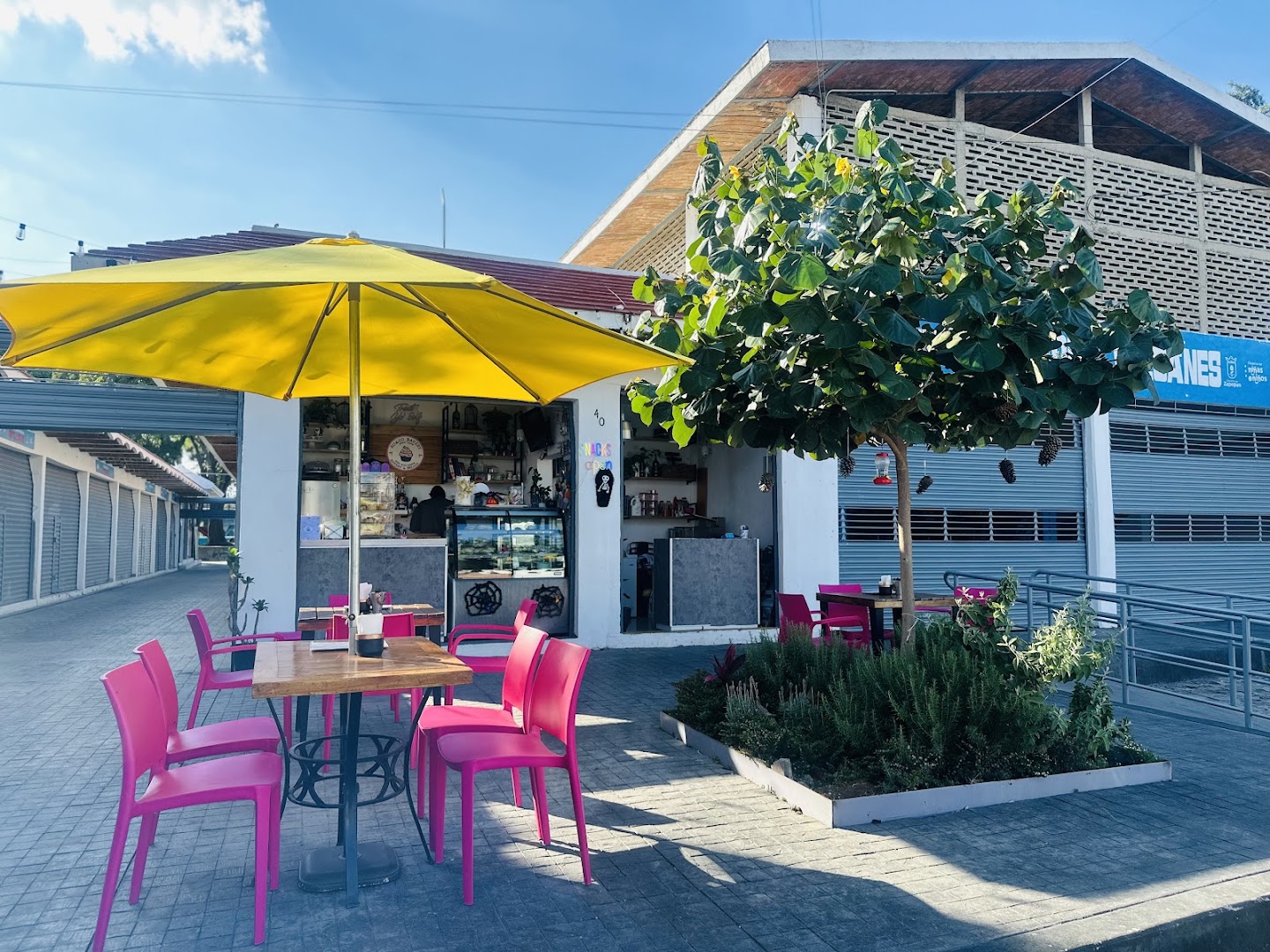 Terraza de Roco Bakery con sombrillas amarillas y sillas rosas